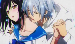 噬血狂袭动漫,异能者与吸血鬼的生死较量